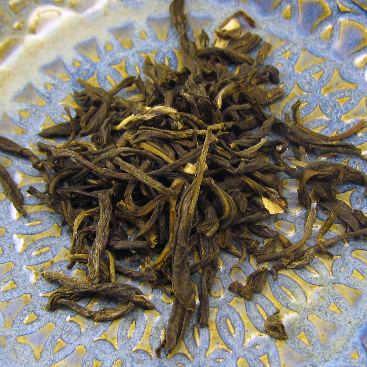 Jasmine__45179.jpg