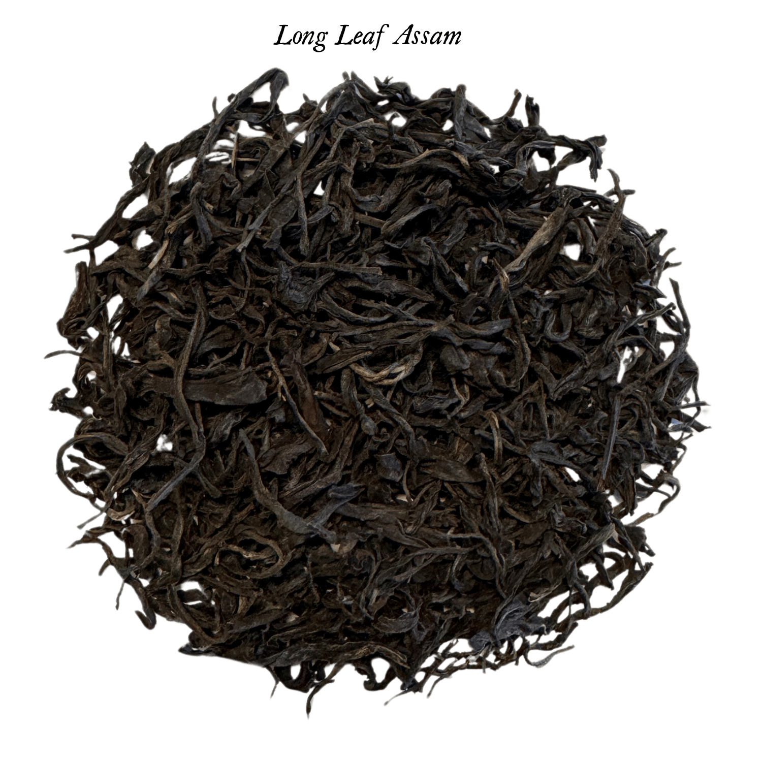 long_leaf_assam_338a41a1-856a-4fcb-bf46-71d526f26f01.png