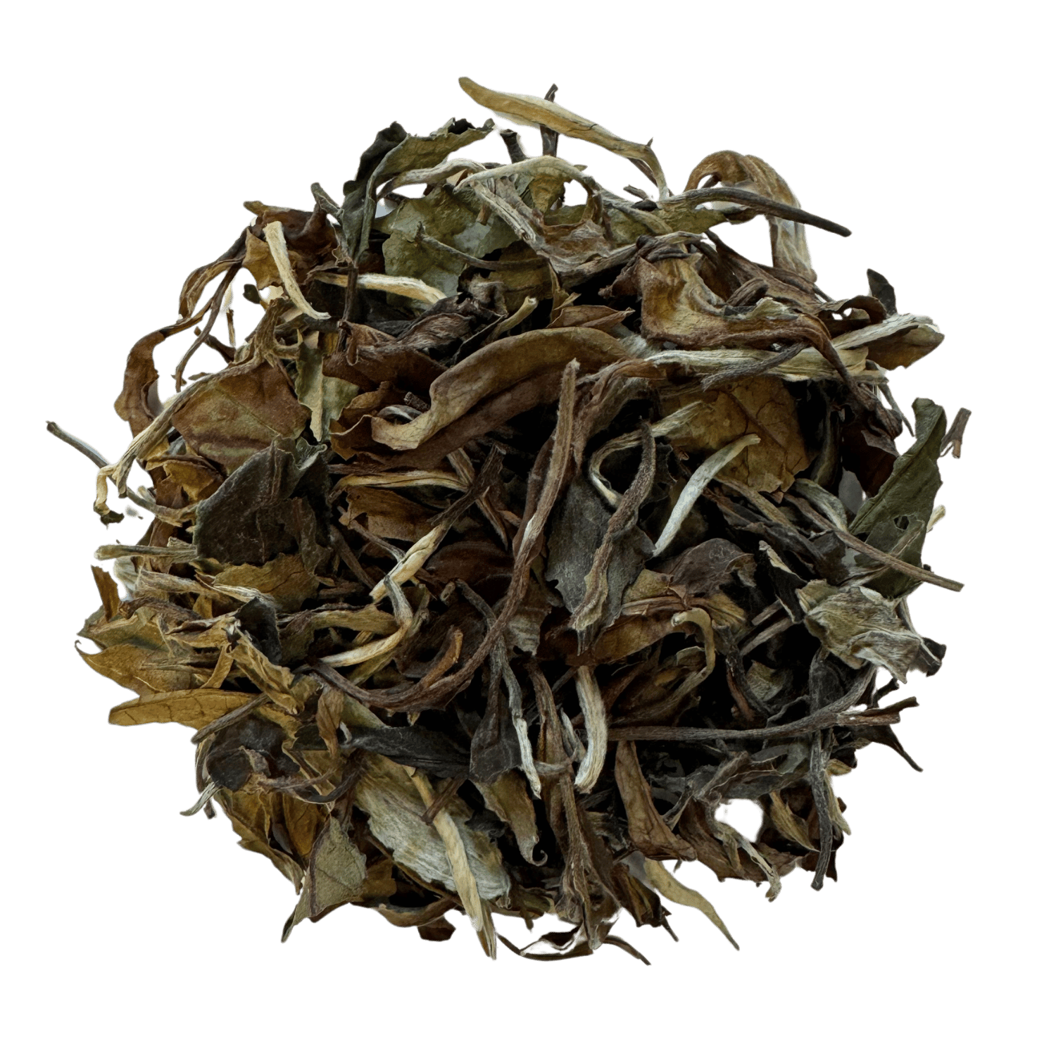 whitepeony.png